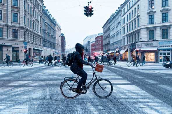 Photo by Max Adulyanukosol on Unsplash